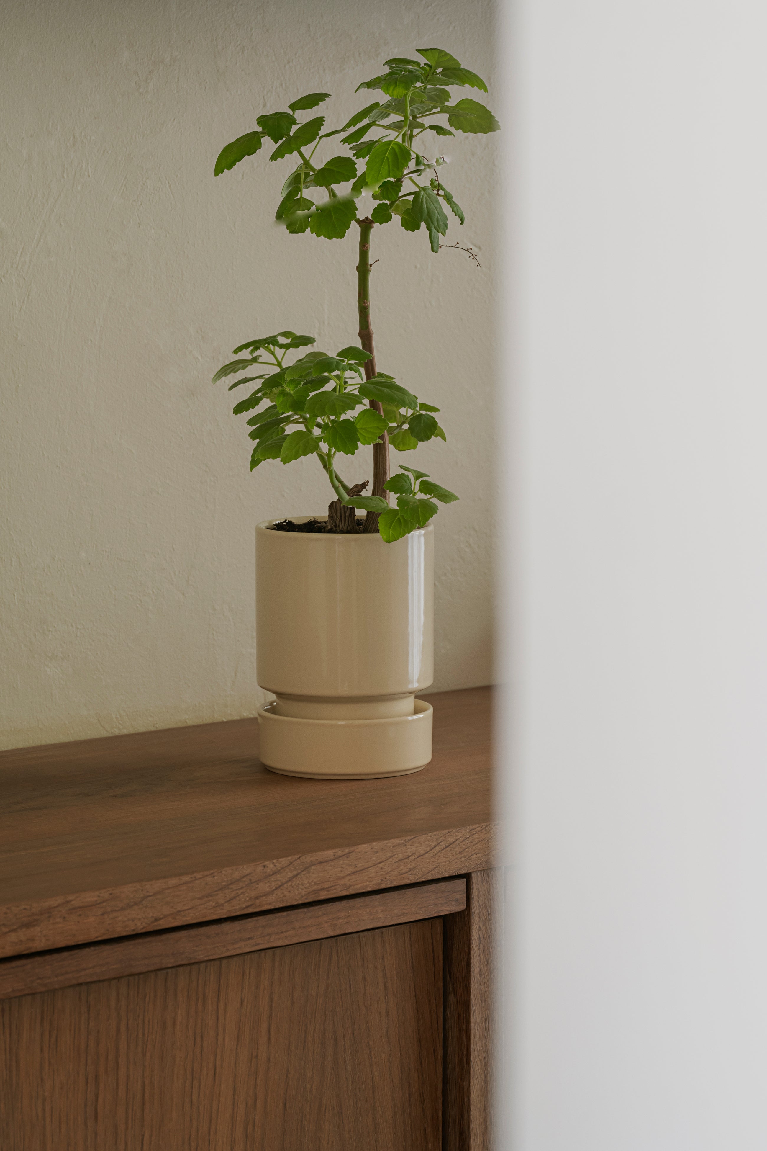 Bergs Potter Hoff Glazed Sandstone Ø14 cm – køb hos butikalrum.dk