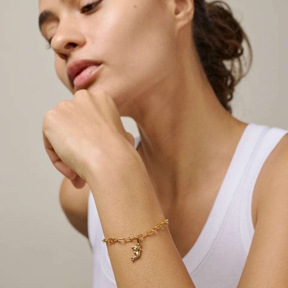 Forgyldt sterling sølv vedhæng af delfin.