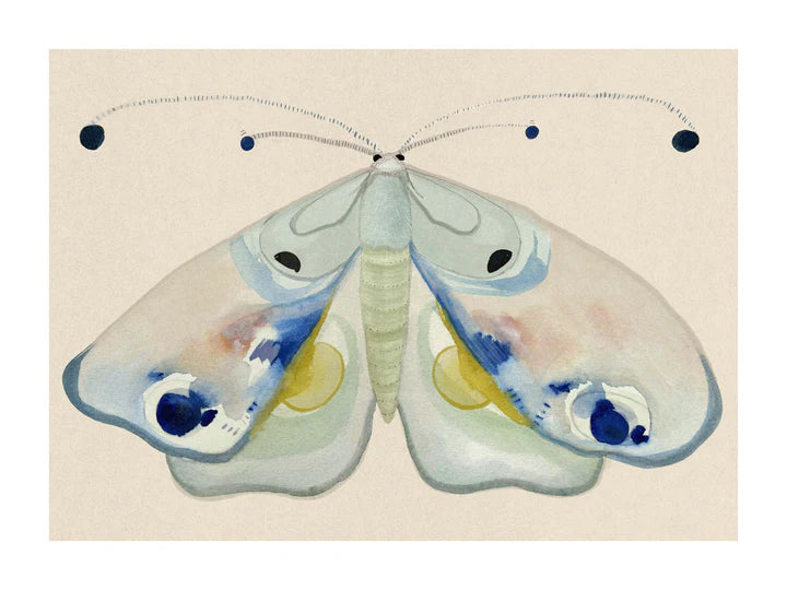 Natsværmer Dronningen fra Krull Studio på 230 gram mat kvalitetspapir. Plakaten er malet i akvarel og motivet forestiller en natsværmer i pastelfarver.