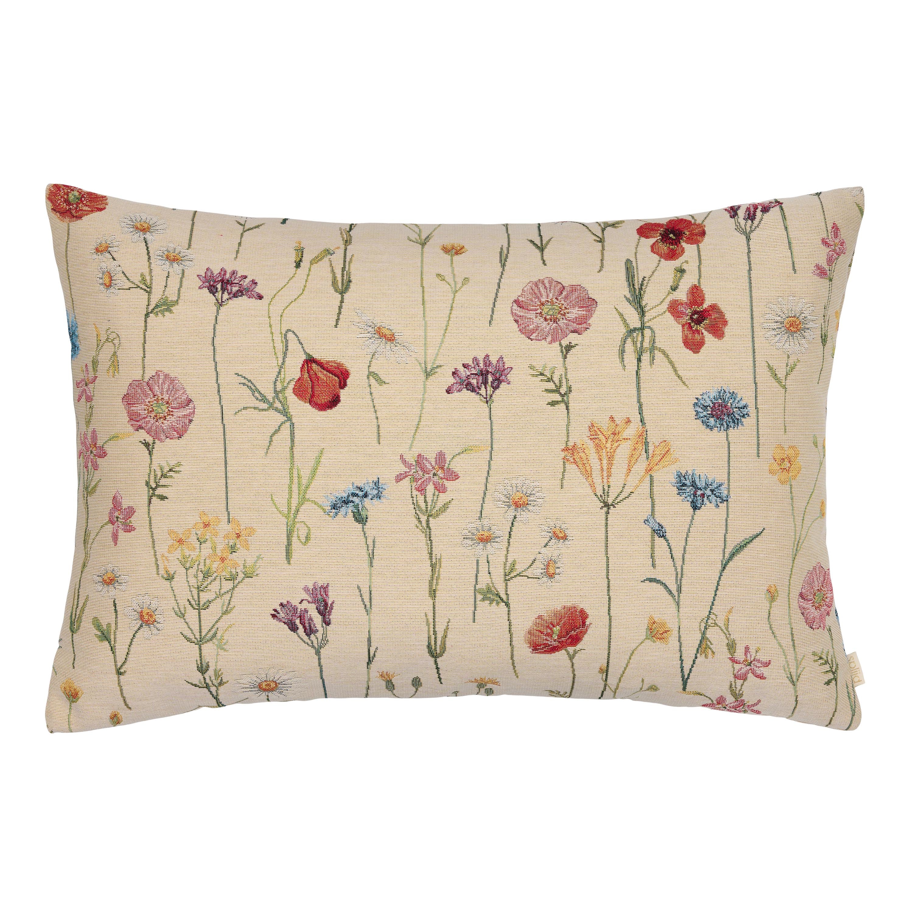 Pude - Flowerfield (60x40)