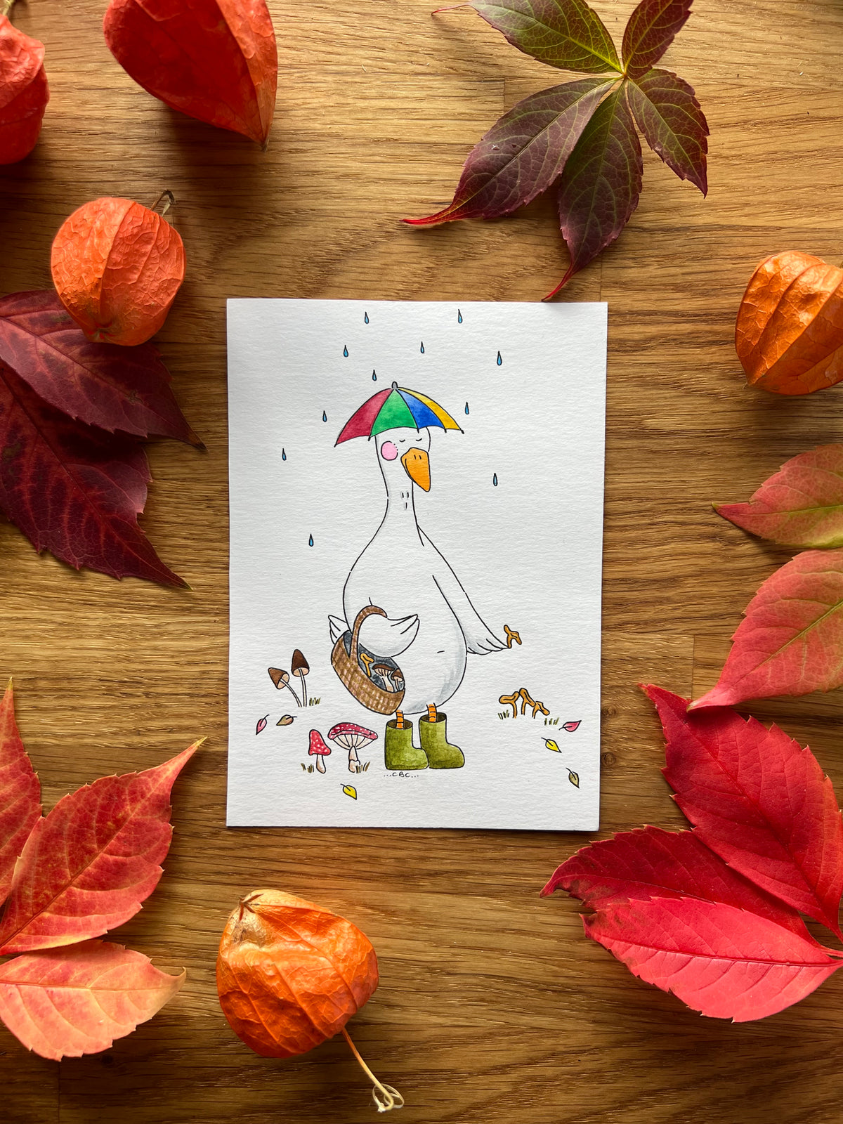 A6-kort fra Carmona Illustrationer med motivet Efterårsgås – Svampe – køb hos butikalrum.dk.