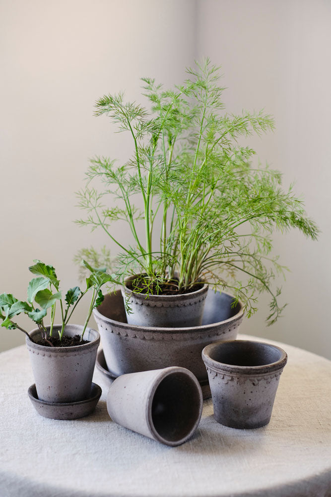 Københavner Pot RAW Grey 3-pack Ø10 cm