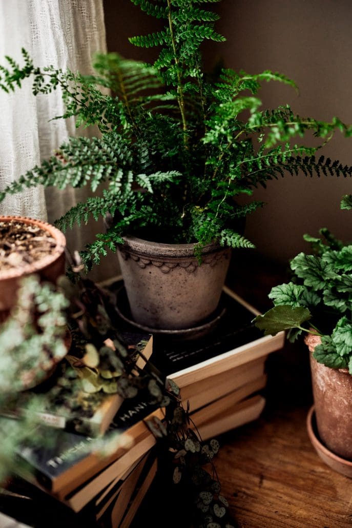 Københavner Pot i RAW Grey Ø14 cm fra Bergs Potter – køb hos butikalrum.dk