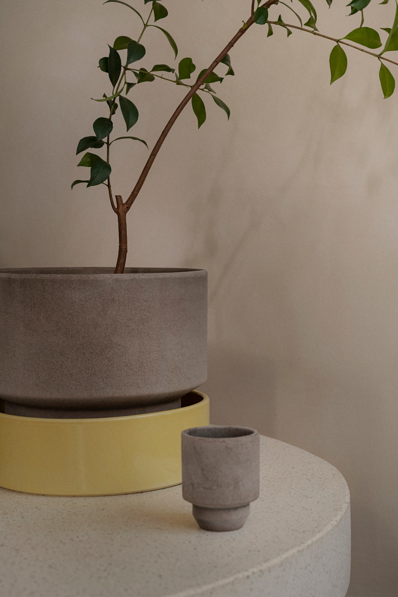 Bergs Potter Hoff urtepotte sæt Ø8 cm – køb hos butikalrum.dk