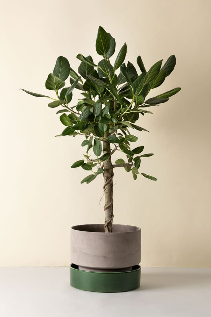 Hoff Raw pot - RAW Grey (Ø30/Ø40)