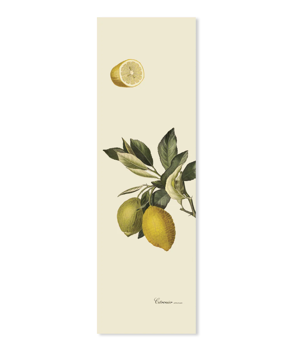 Plakat med citroner på hvid baggrund, 20 x 60 cm – smalt format, botanisk motiv, sælges uden ramme hos butikalrum.dk