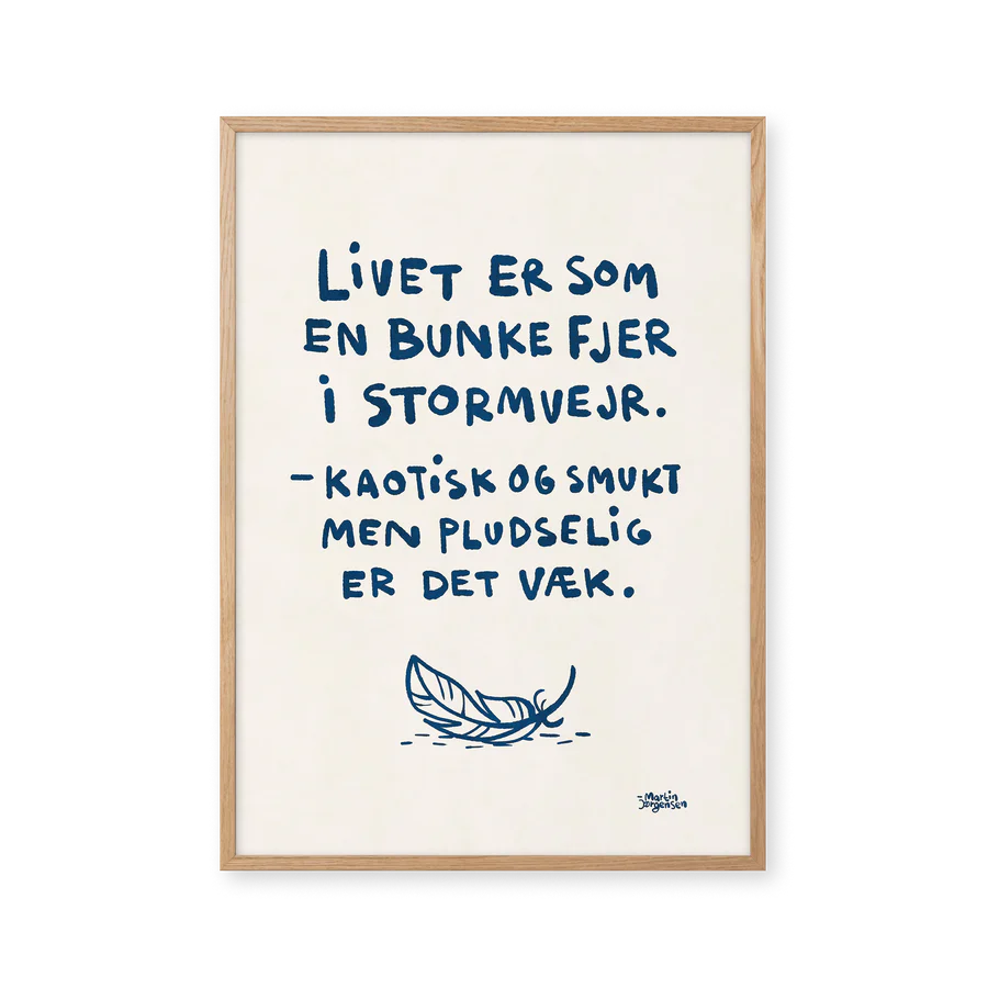 Fjer i stormvejr af Martin Jørgensen med citat "Livet er som en bunke fjer i stormvejr. - Kaotisk og smukt men pludselig er det væk.".