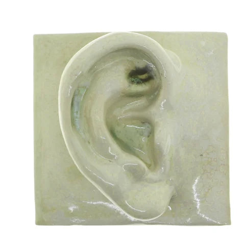 Håndlavet vægrelief "Right Ear" i Crystal Green – dansk design inspireret af antikkens skulpturer, eksklusivt hos butikalrum.dk