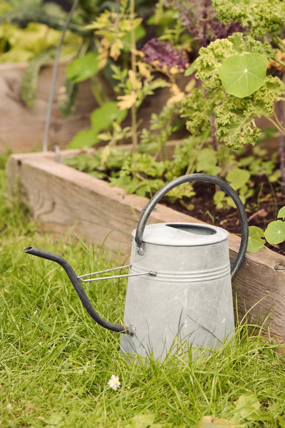Grå vandkande 2,3 liter med sort hank og tud til vanding af planter inde og ude - køb hos butikalrum.dk