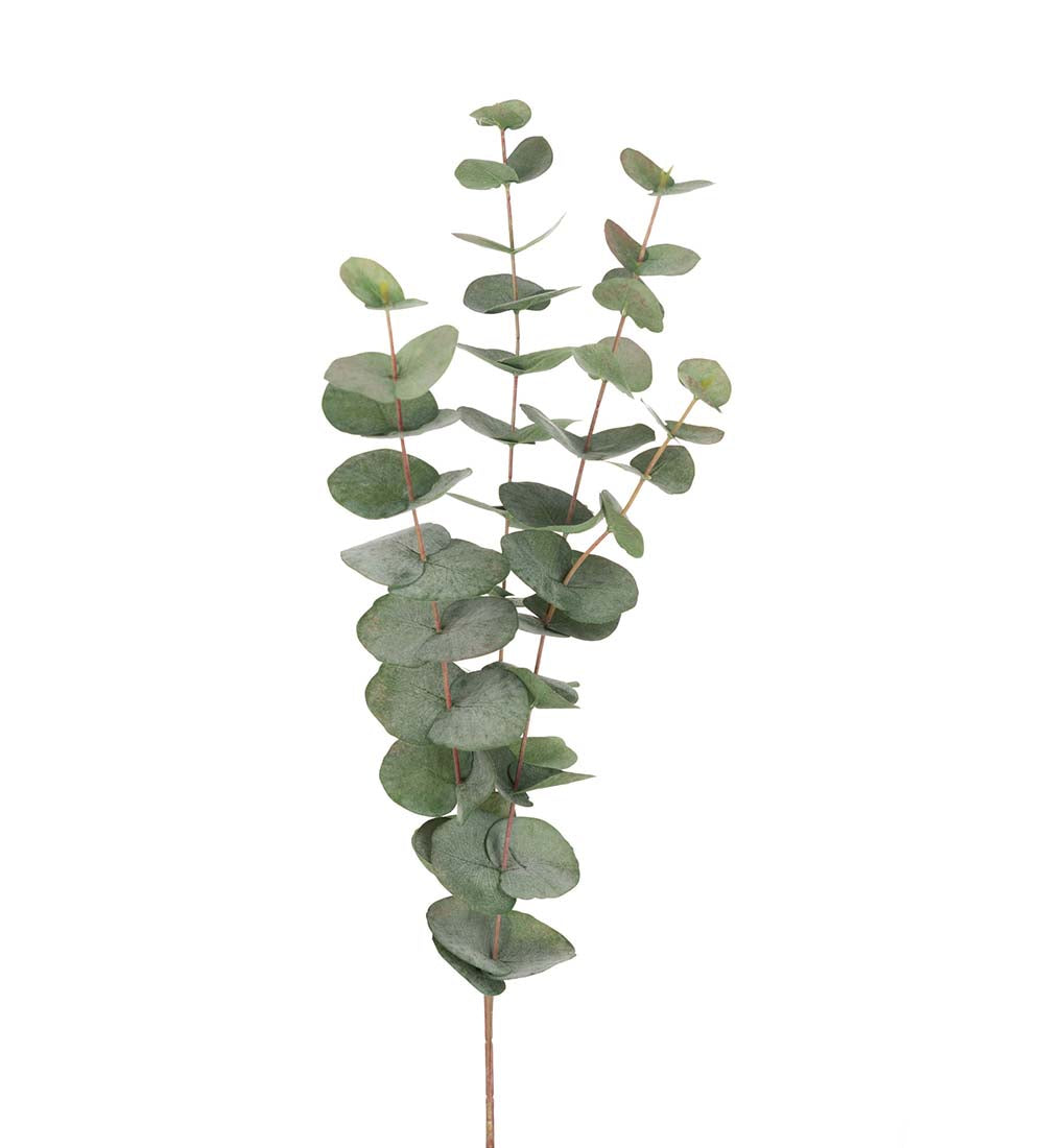 Kunstig eucalyptusgren på 60 cm til vase og dekoration – køb hos butikalrum.dk.