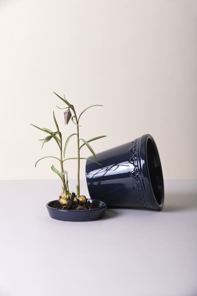 Københavner Glazed urtepotte fra Bergs Potter i Sapphire Blue, Ø12 cm – køb hos butikalrum.dk.
