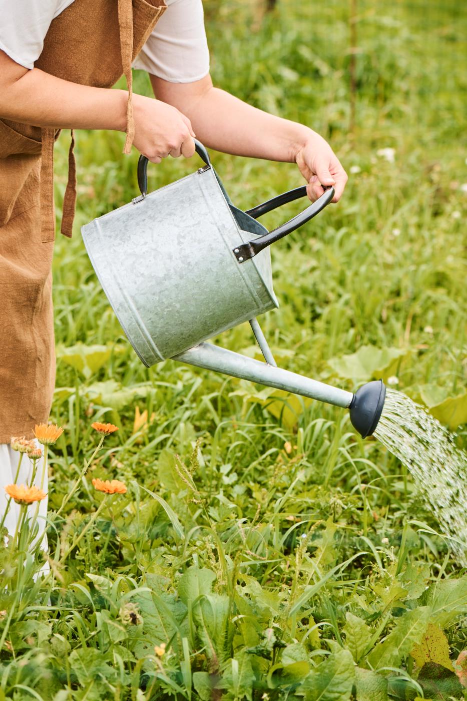 Grå vandkande 9 liter med to hanke og sort spreder til skånsom vanding af blomster og planter - køb hos butikalrum.dk